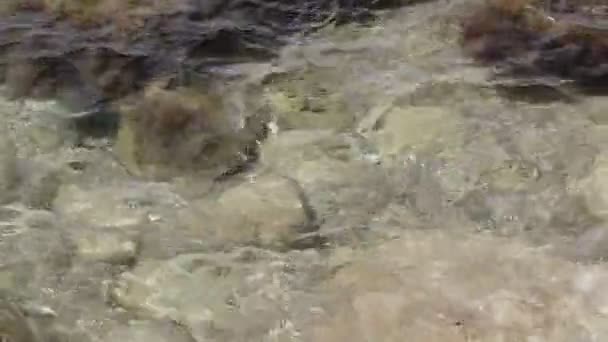 Морские камни под водой — стоковое видео