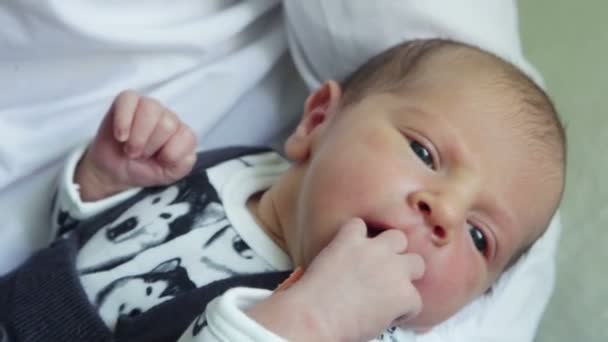 Bebê na mão de seu pai — Vídeo de Stock
