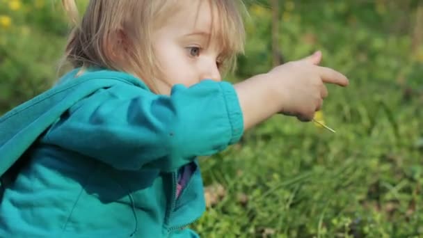 Little girl in nature — Stock Video