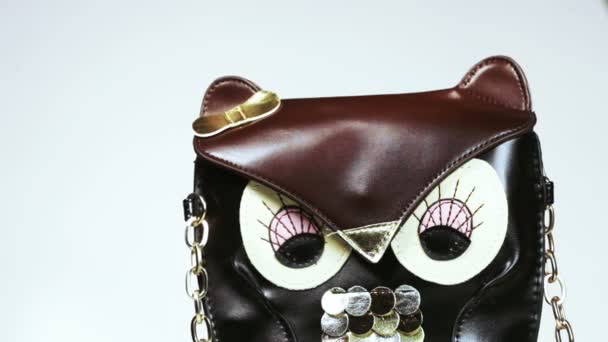 Bag in form owl — Stock Video