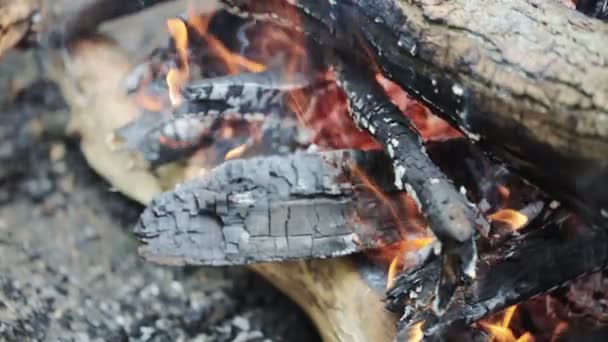 Brennende brann – stockvideo