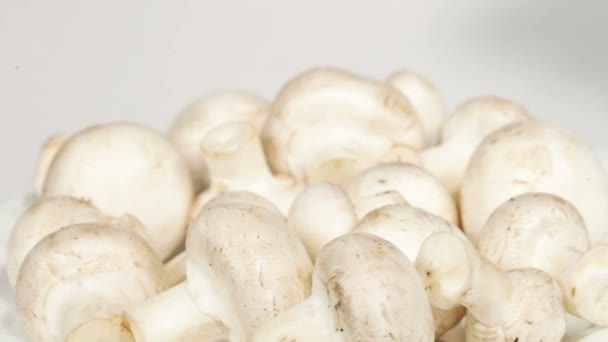 Witte champignons — Stockvideo