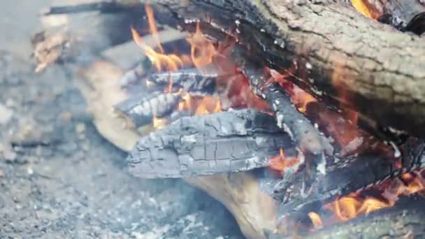 Hořící oheň — Stock video