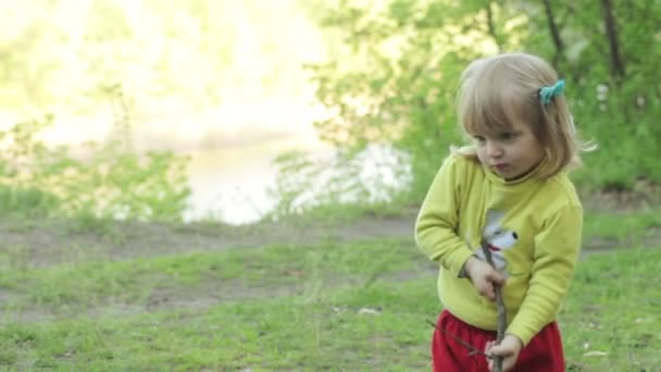 Niño con picnic de palo — Vídeo de stock