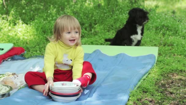 Hizmet piknik — Stok video