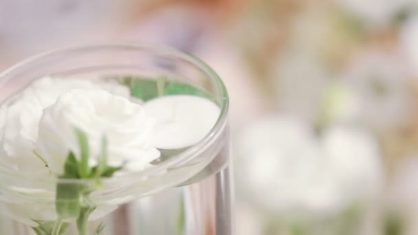 Plusieurs roses blanches dans le vase — Video