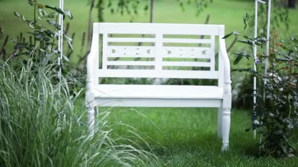 Bench in garden — Stock Video