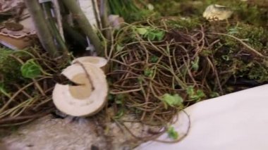 Öğeleri dekor düğün töreni