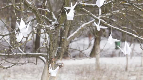 Grues en papier — Video