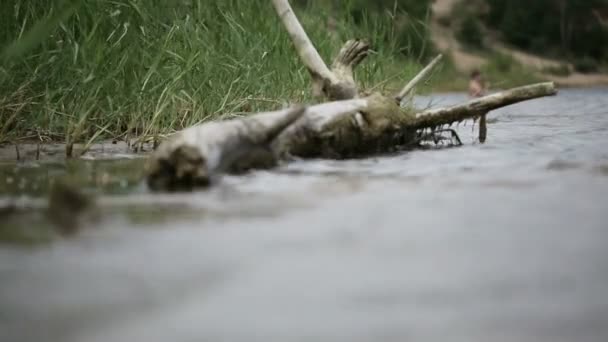 Plage fluviale — Video