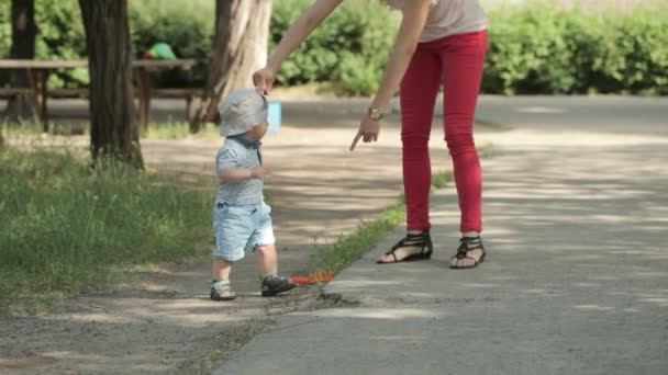 Educación caminando — Vídeo de stock