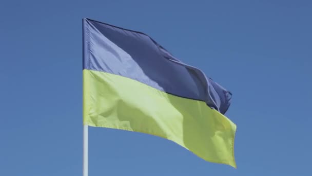 Bandeira ucraniana — Vídeo de Stock