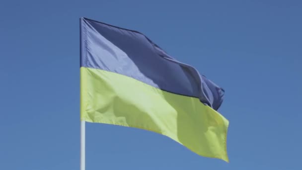 Drapeau ukrainien — Video