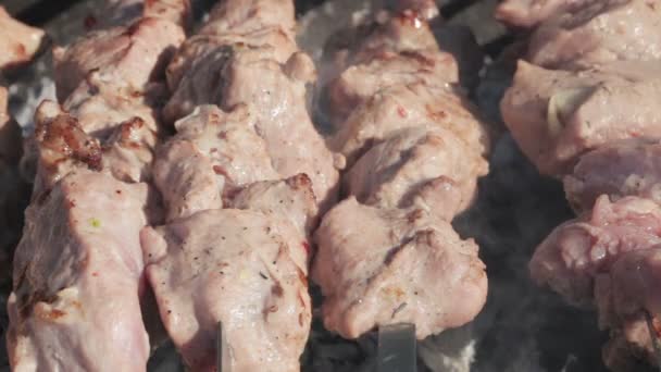 Vaření kebab — Stock video