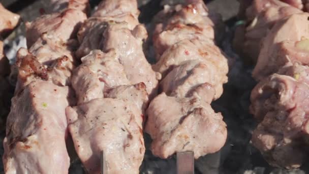 Cooking kebabs — Stock Video