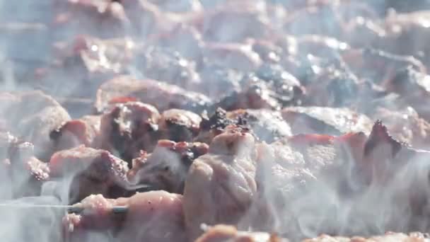 Кулінарія шашлики — стокове відео