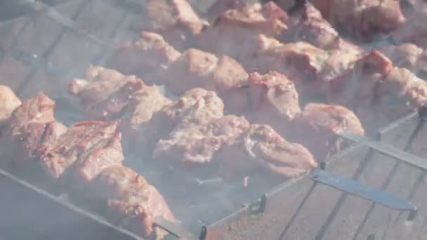 Kebabs de cozinha — Vídeo de Stock