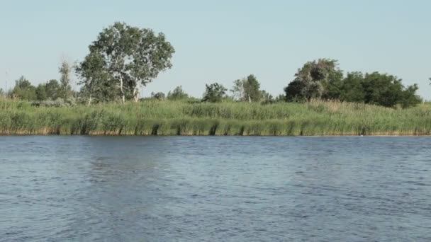 Orilla del río — Vídeos de Stock