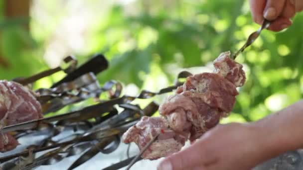 Cuerda shashlik — Vídeos de Stock