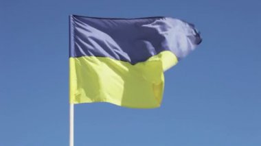 Ukrayna Bayrağı