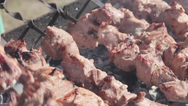 Cooking kebabs — Stock Video