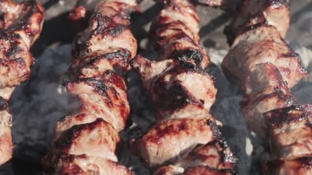 Cooking kebabs — Stock Video