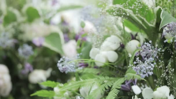 Virág dekoráció — Stock videók