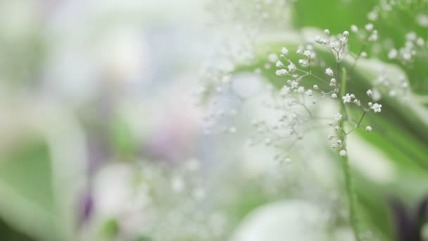 Décoration de fleurs 