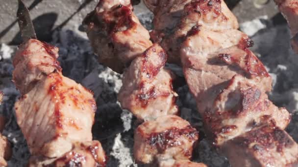 Cooking kebabs — Stock Video