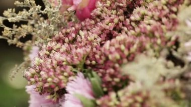 Çiçek süslemeleri makro