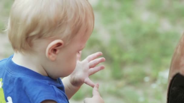 Baby on picnic — Stock Video