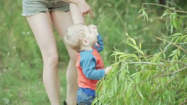 Bebé en el picnic — Vídeo de stock