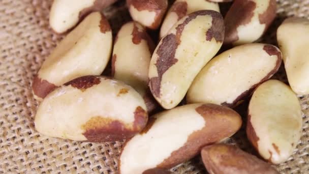 Handful of Brazil nuts — Stock Video