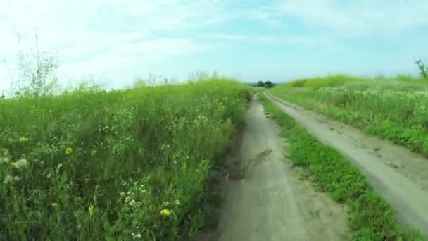 Estrada entre flores silvestres — Vídeo de Stock