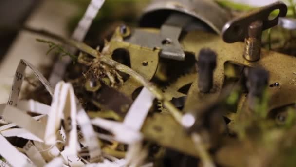 Deel van uurwerk versierd met bloemen — Stockvideo