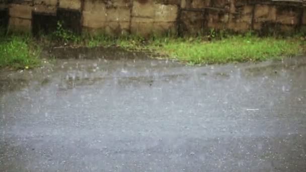Zware regenval — Stockvideo