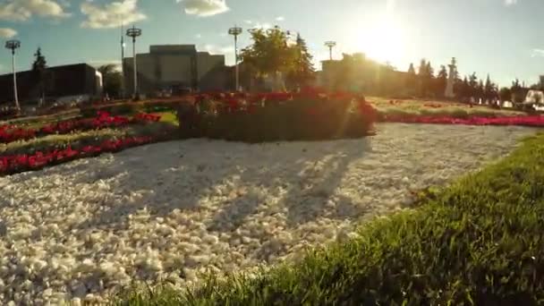 Jardim de flores no parque da cidade — Vídeo de Stock