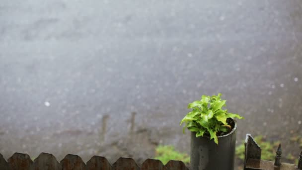 Agua corriente sobre asfalto — Vídeos de Stock