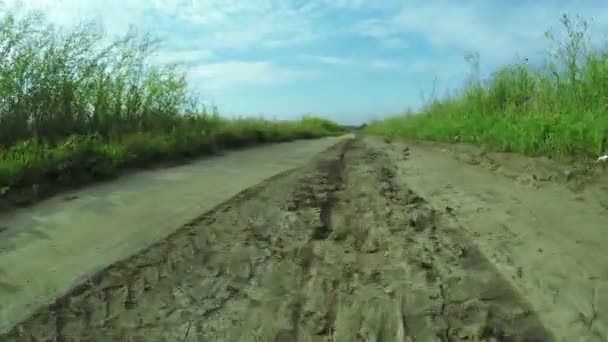 Estrada entre flores silvestres — Vídeo de Stock