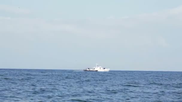 Tekne sınır muhafızları — Stok video