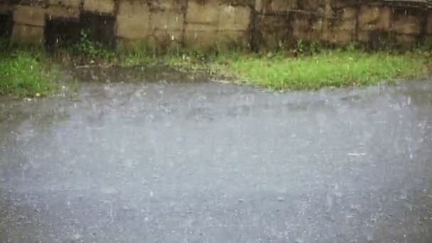 大雨 — ストック動画