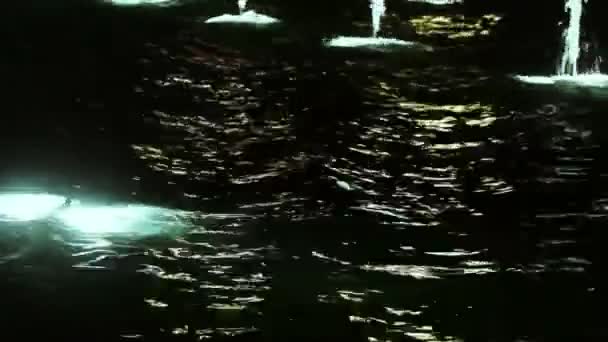 Освещённый фонтан — стоковое видео