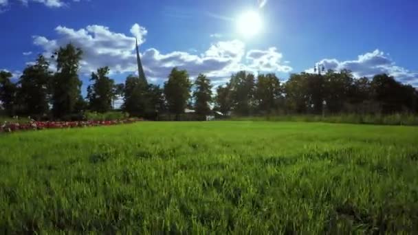 Jardin de fleurs dans le parc municipal — Video