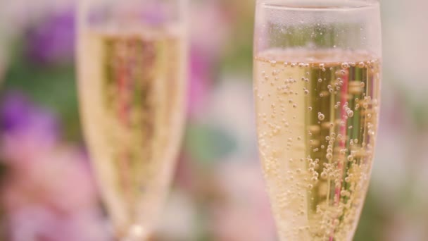 Champagne bubblor — Stockvideo