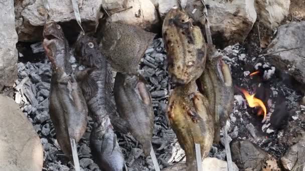 Соленая рыба на шампуре — стоковое видео
