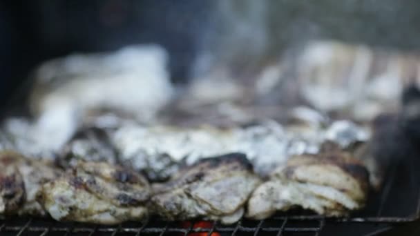 Ayam dan ikan barbecue — Stok Video