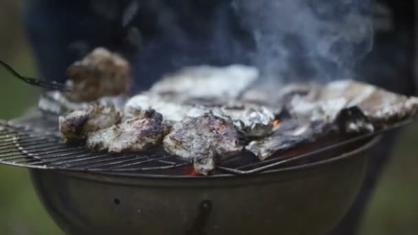 Churrasco de carne e peixe — Vídeo de Stock