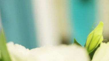 Bölüm düğün kemer