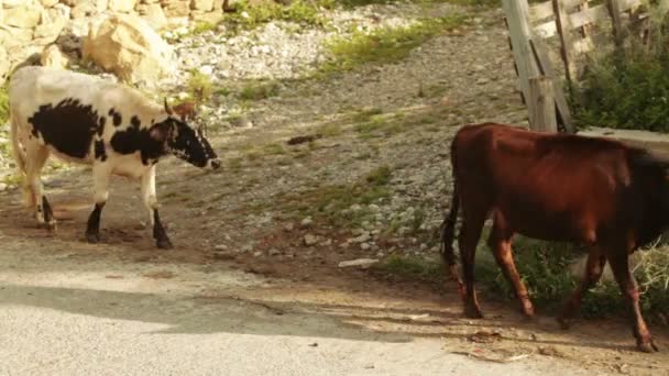 Mañana en pueblo de montaña — Vídeo de stock