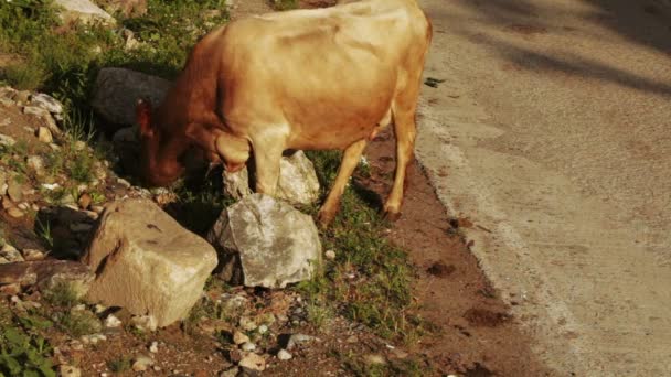 Matin dans le village de montagne 